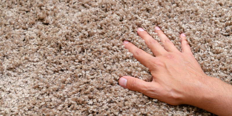 nnovations in Carpet You’ll Love