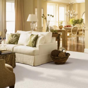 Carpet Flooring | Enterprise Wholesale Flooring and Lighting