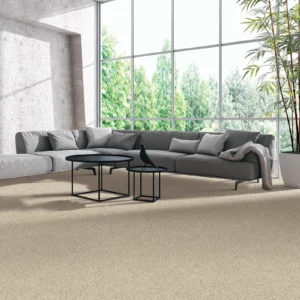 Living Room Carpet Flooring | Enterprise Wholesale Flooring and Lighting