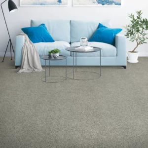 Carpet Flooring | Enterprise Wholesale Flooring and Lighting