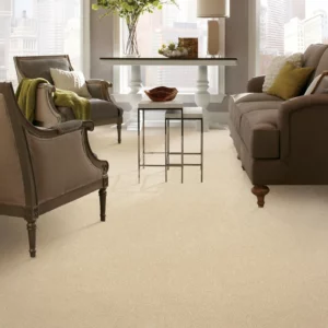Carpet Flooring | Enterprise Wholesale Flooring and Lighting