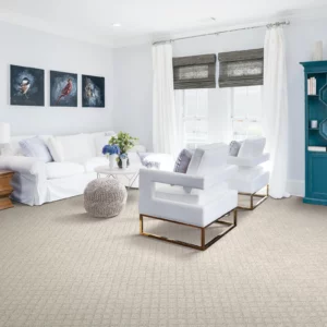 Living Room Carpet Flooring | Enterprise Wholesale Flooring and Lighting