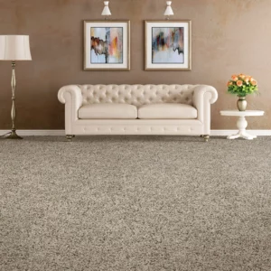 Carpet Flooring | Enterprise Wholesale Flooring and Lighting