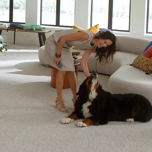 services-block-img Dog sitting on Carpet | Enterprise Wholesale Flooring and Lighting